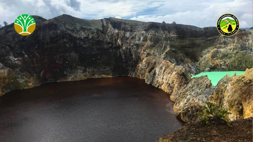 Gambaran Umum Taman Nasional Indonesia