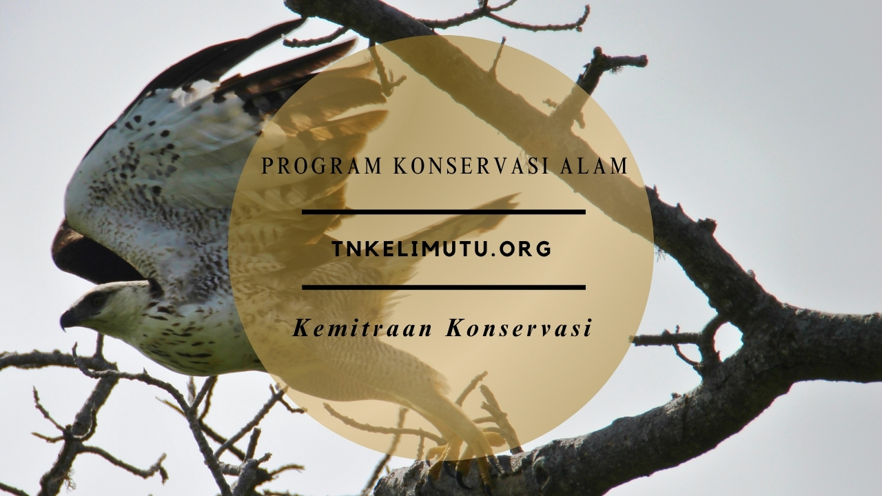 Kemitraan Konservasi Taman Nasional Kelimutu