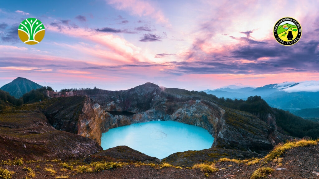 Strategi Perlindungan untuk Kelestarian Alam Indonesia