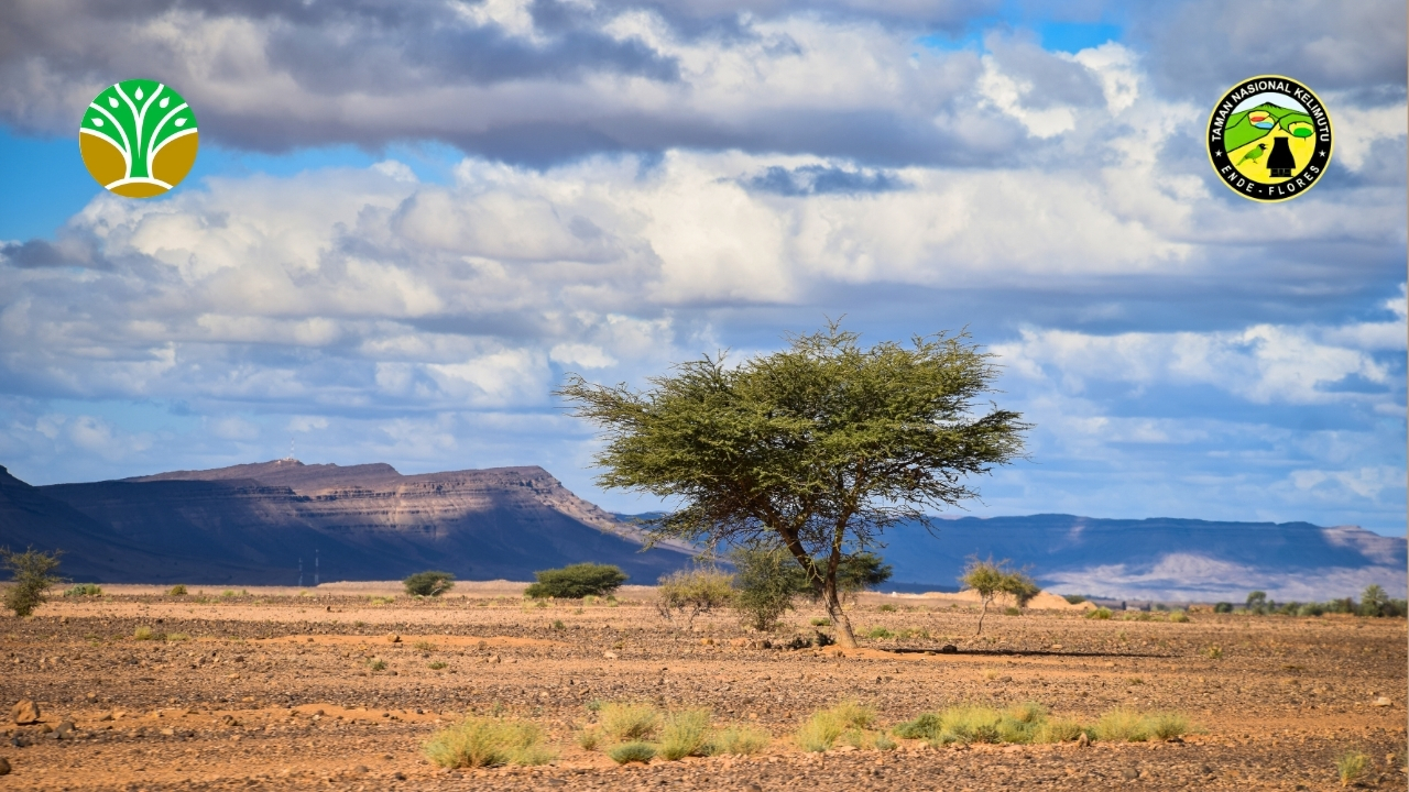 Taman Nasional Baluran