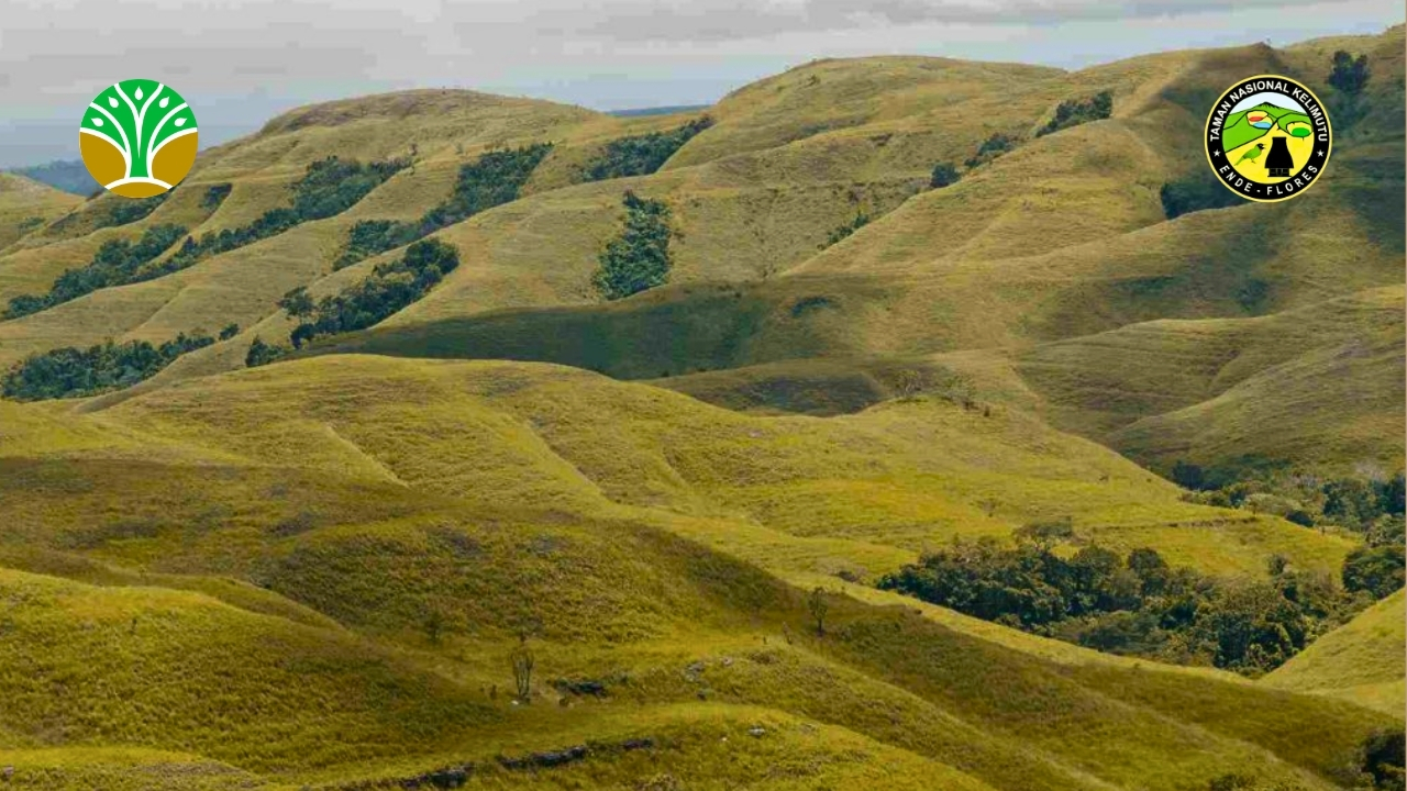 Taman Nasional Laiwangi Wanggameti
